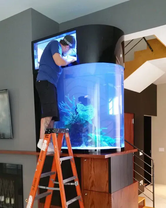 A man on a ladder working on an aquarium