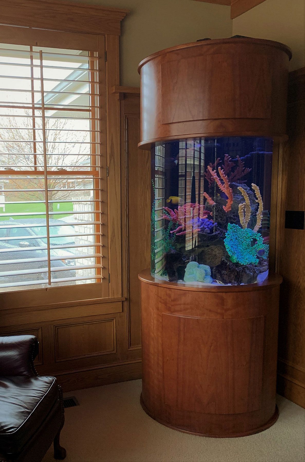 A large aquarium is sitting in a living room next to a window.