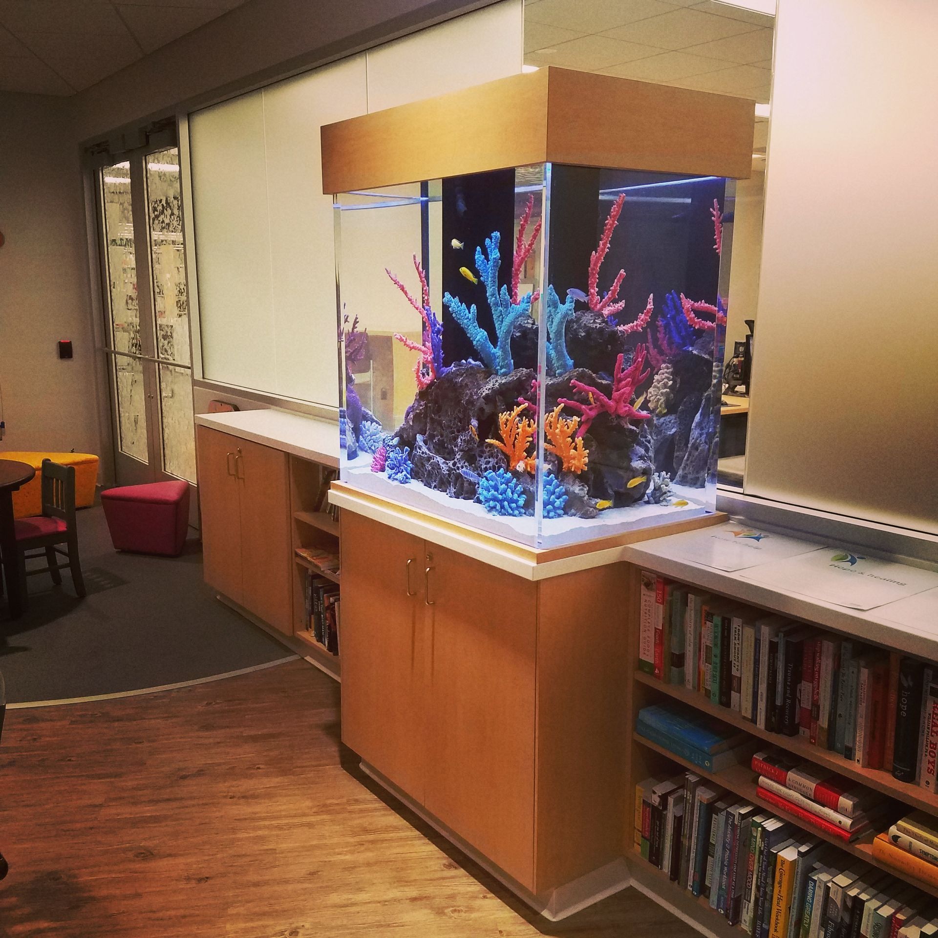 A large aquarium with corals and fish in it