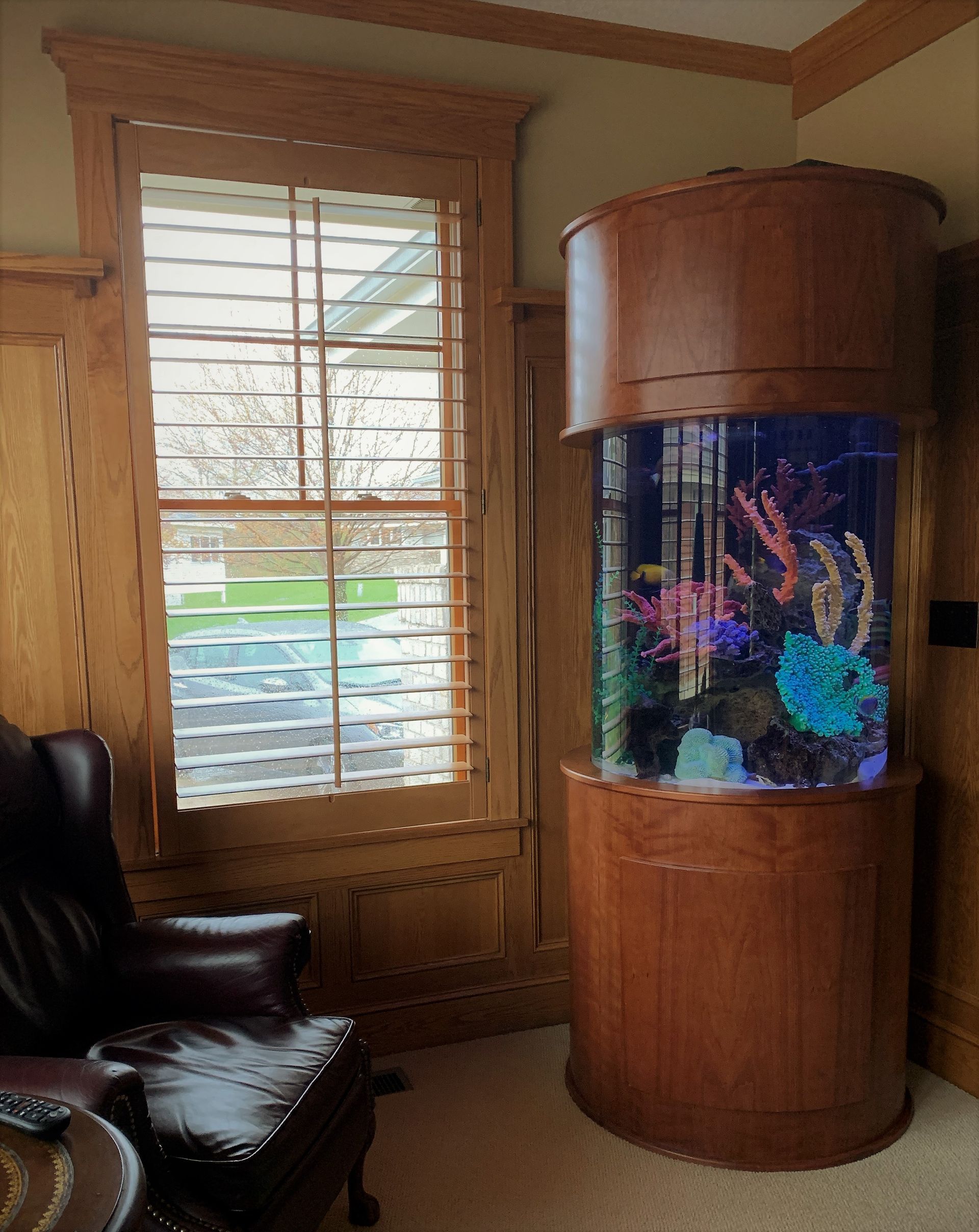 A large aquarium is sitting in a living room next to a window.