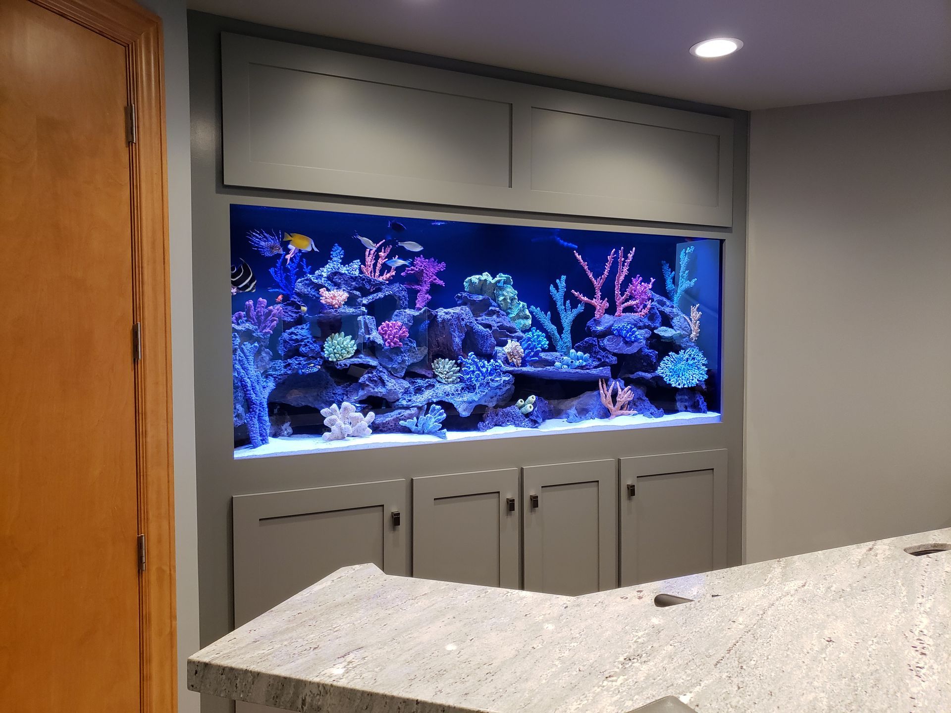 A large aquarium is built into the wall in a kitchen.