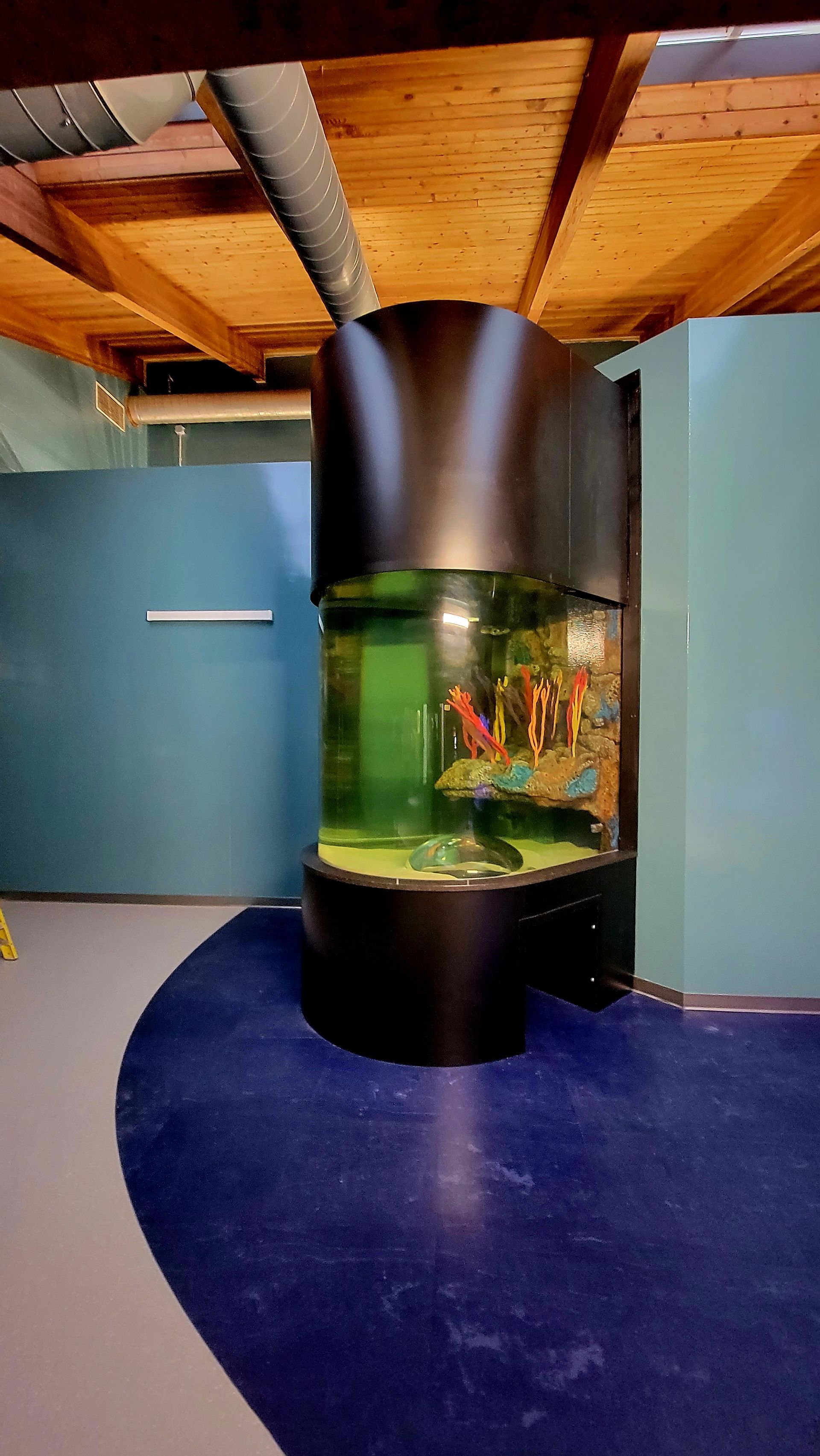 A large aquarium is sitting in the middle of a room.