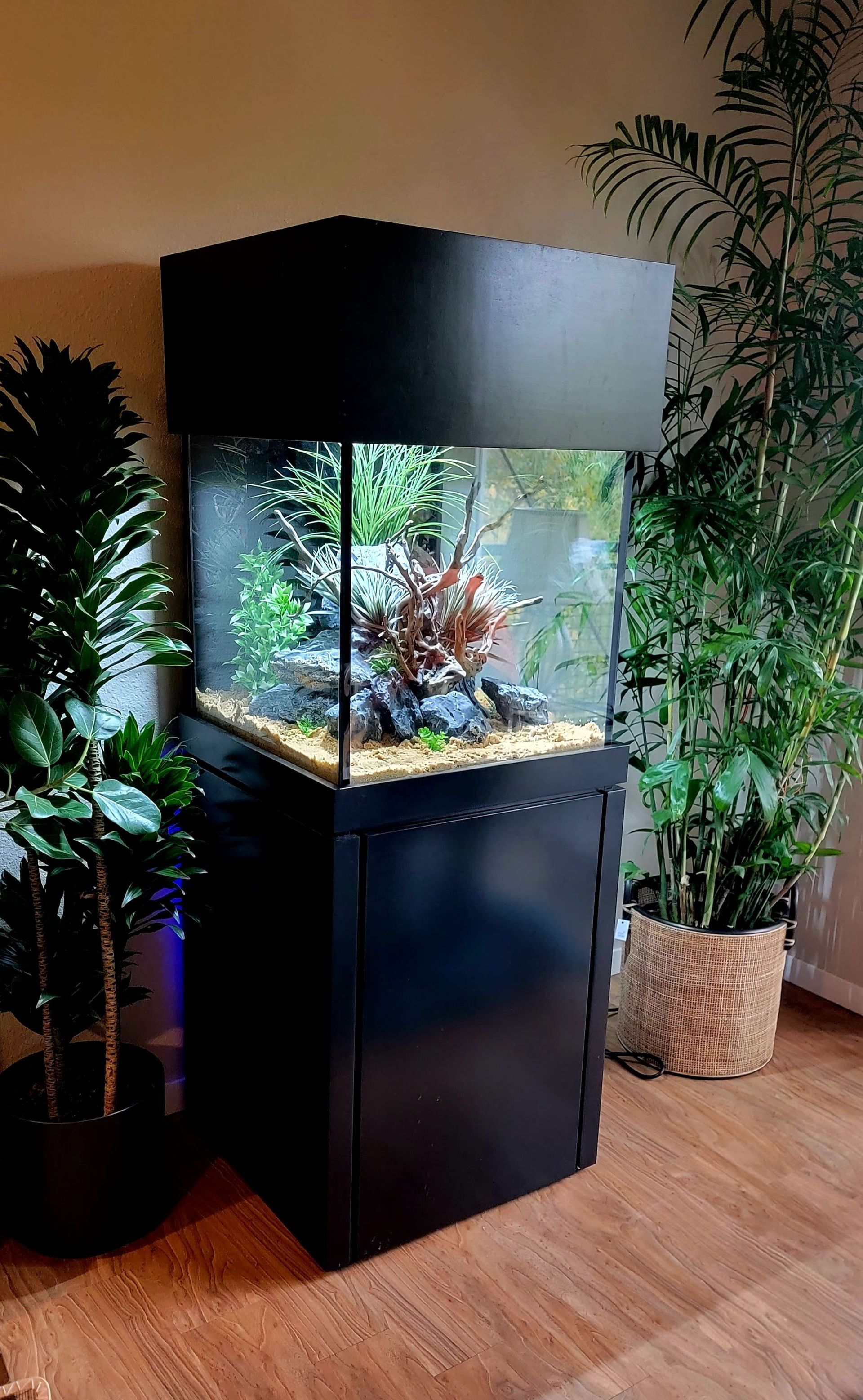 A large aquarium is sitting in a living room surrounded by potted plants.
