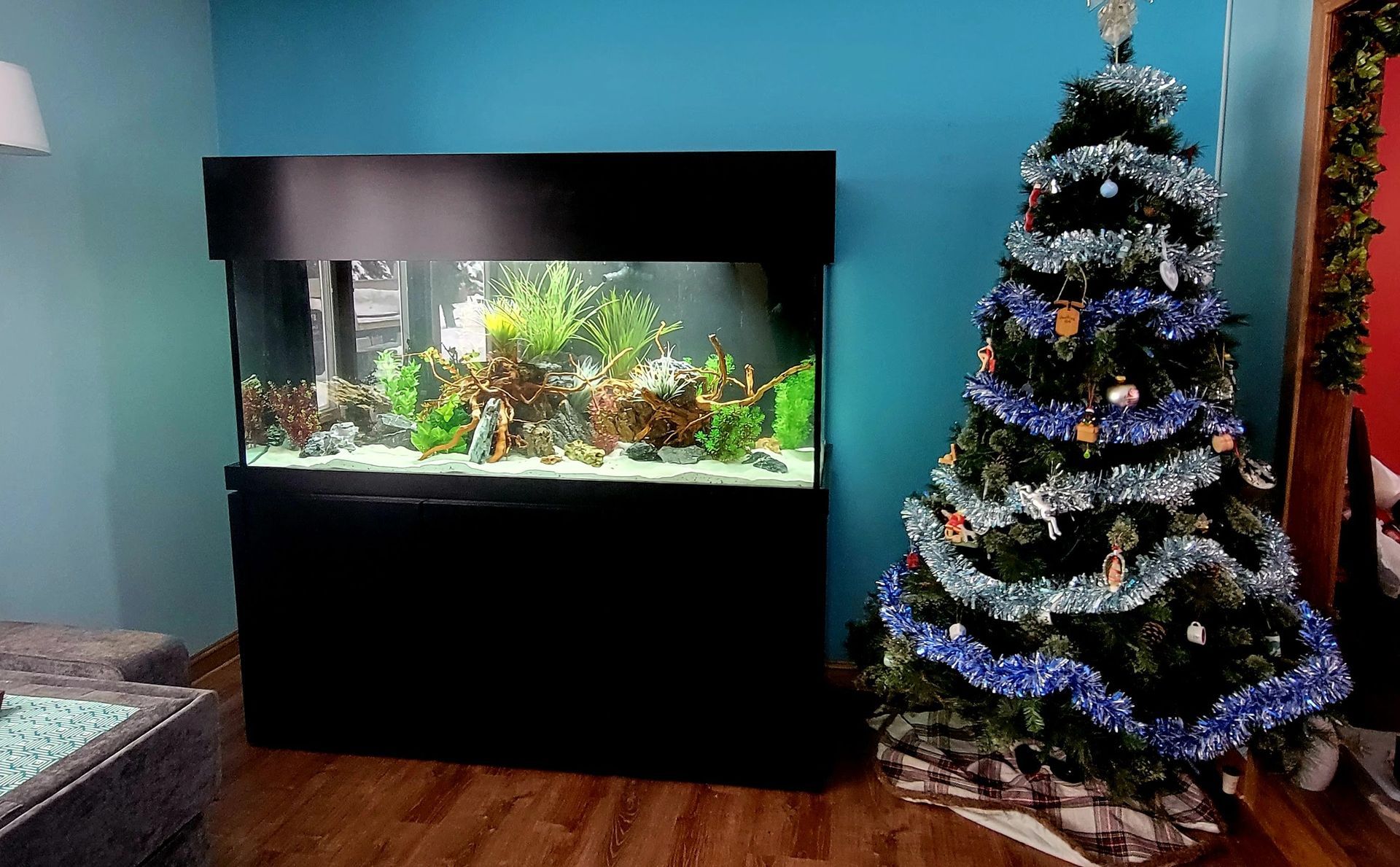 A living room with a fish tank and a christmas tree