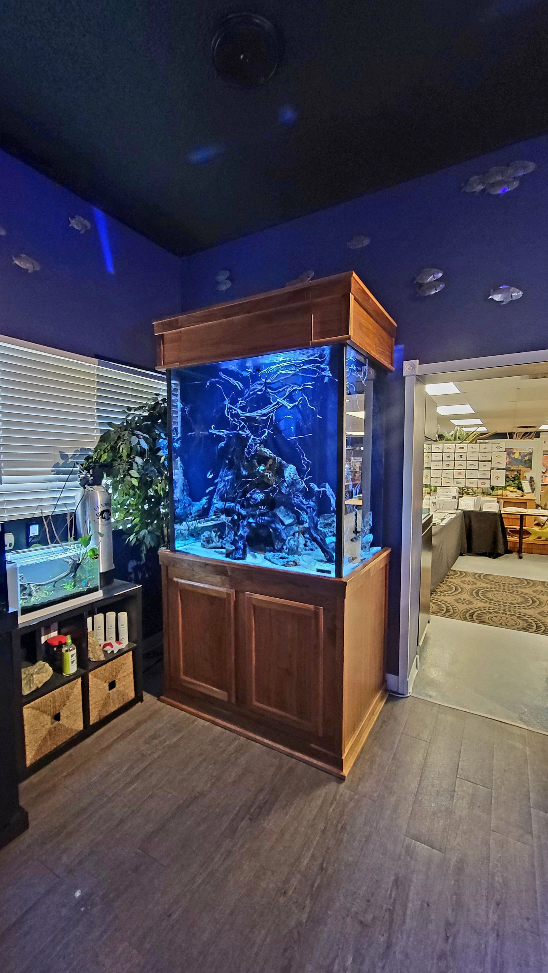A large aquarium is sitting in the middle of a living room.