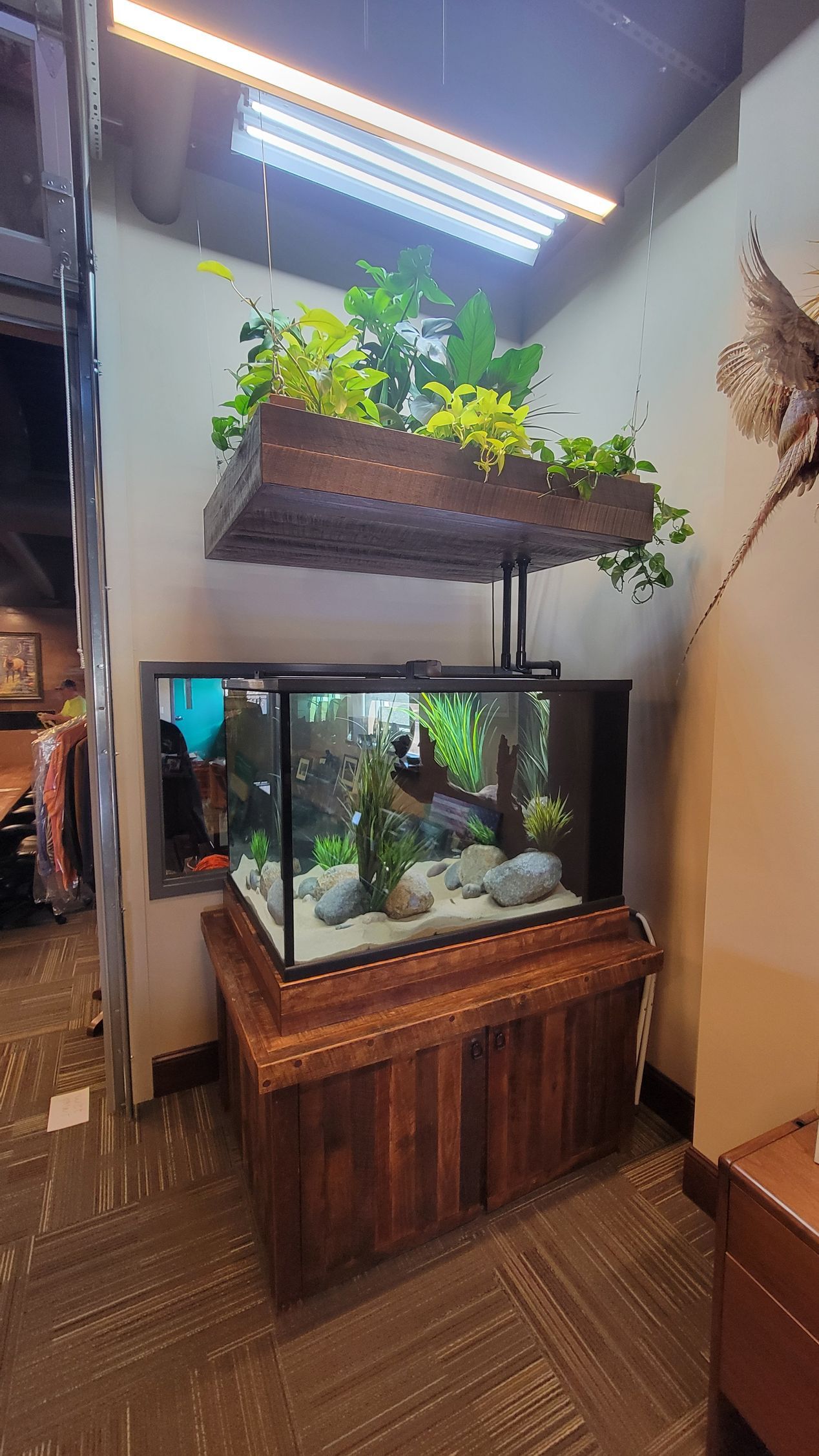 A large fish tank filled with fish and plants in a room.