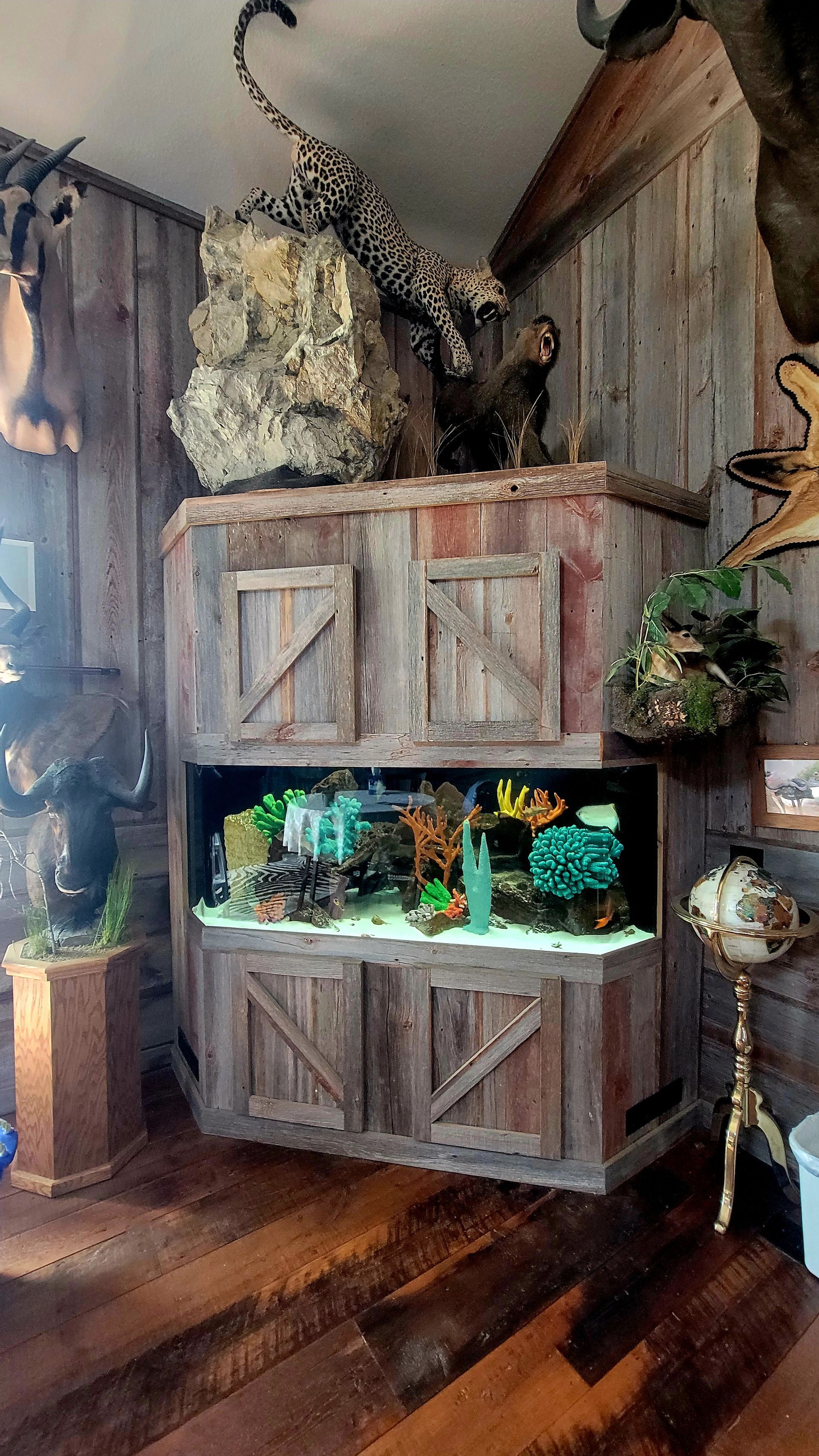 A room with a fish tank and a leopard on top of it.