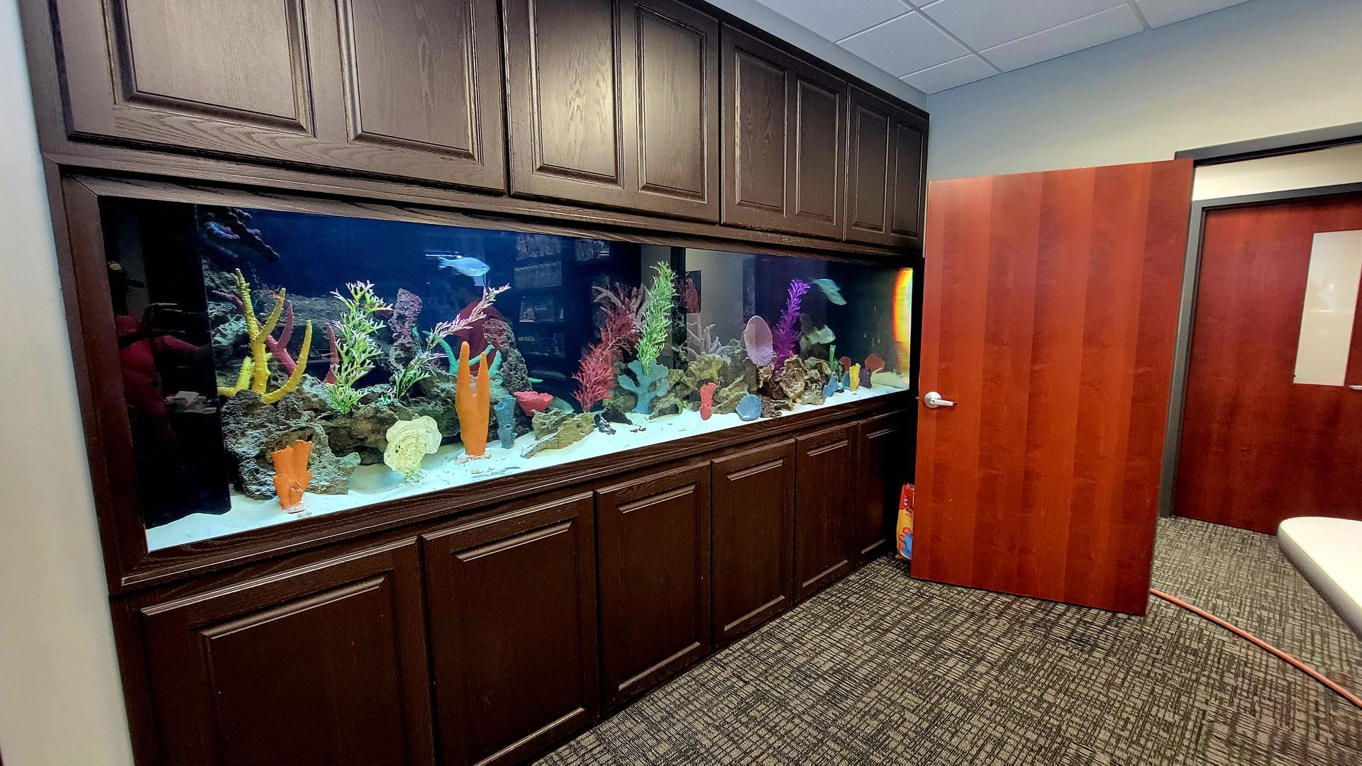 A large aquarium filled with fish and corals in a room.