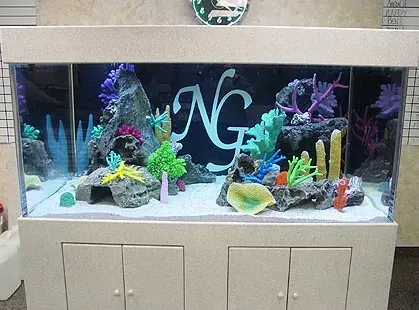 A large aquarium with the letter n on it