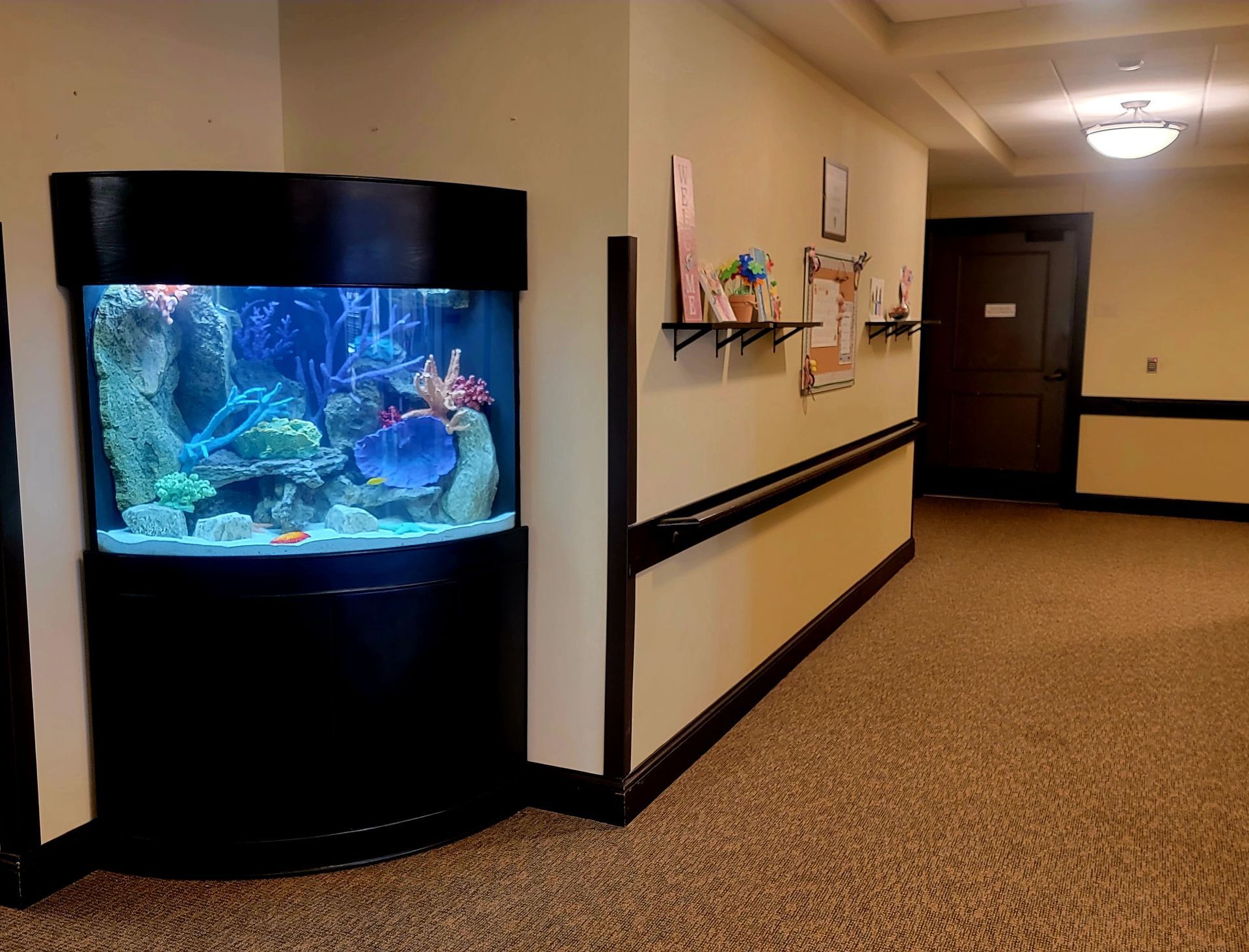 A large aquarium is in the corner of a hallway