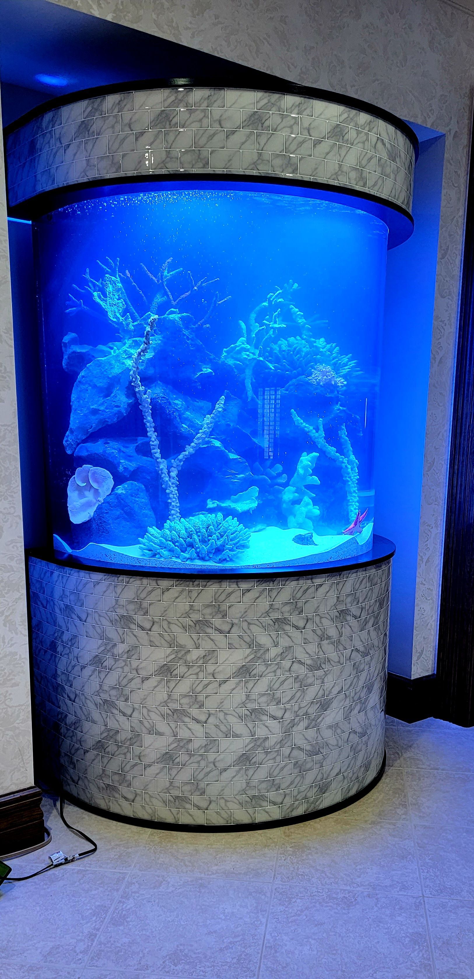A large aquarium filled with fish and plants is sitting in a room.