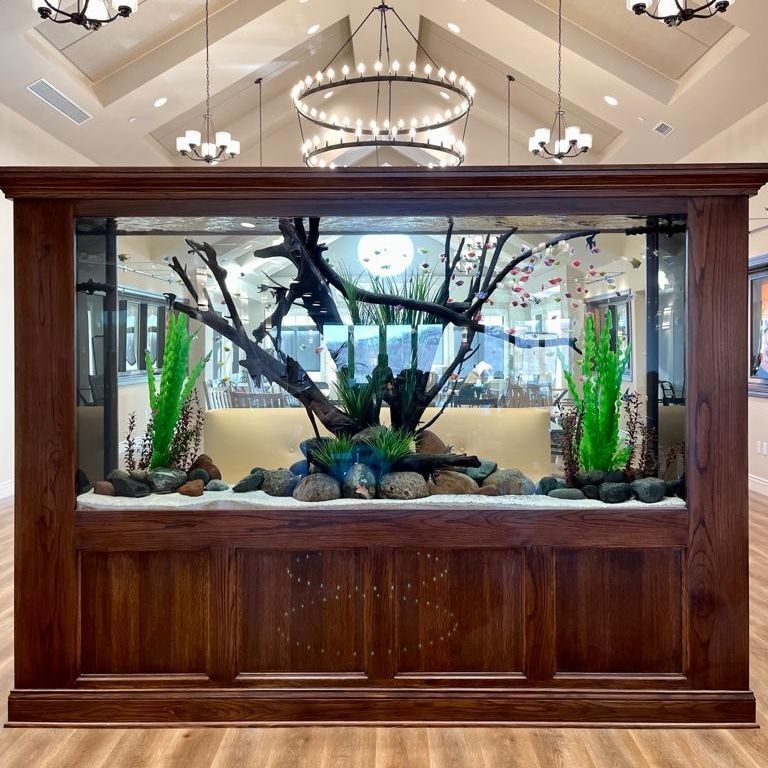 A large aquarium with a tree in the middle of it