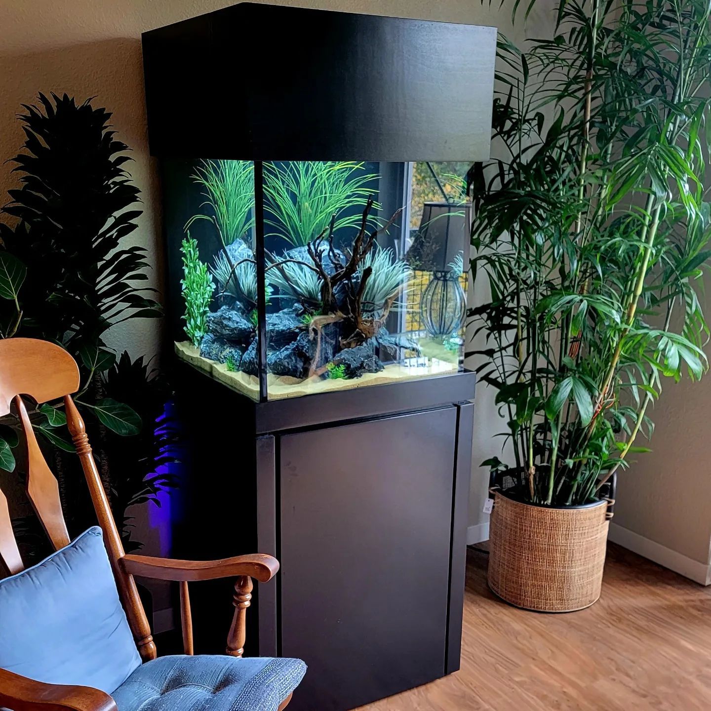 A rocking chair sits next to a large aquarium in a living room.