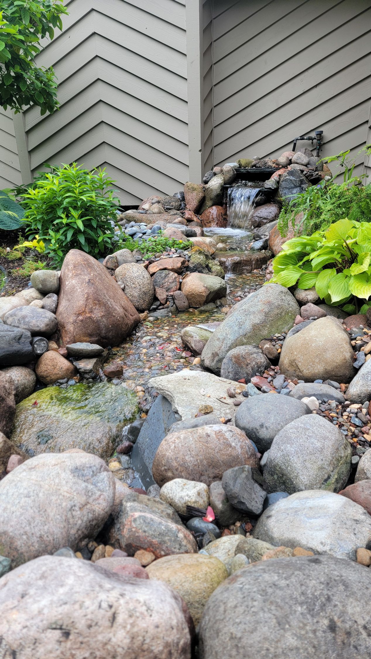 A waterfall is surrounded by rocks and plants in front of a house.