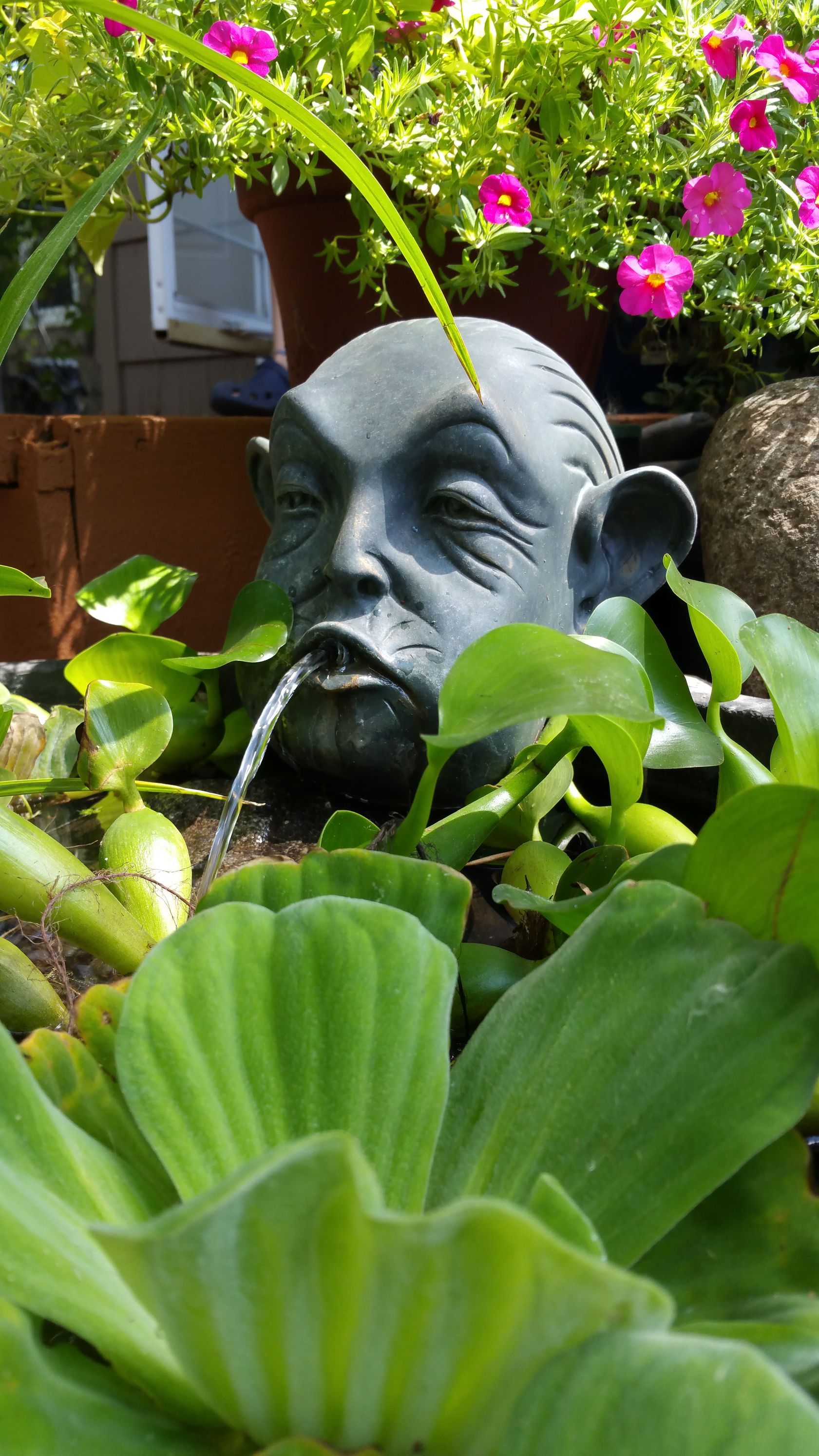 A statue of a man 's head is surrounded by plants and flowers.