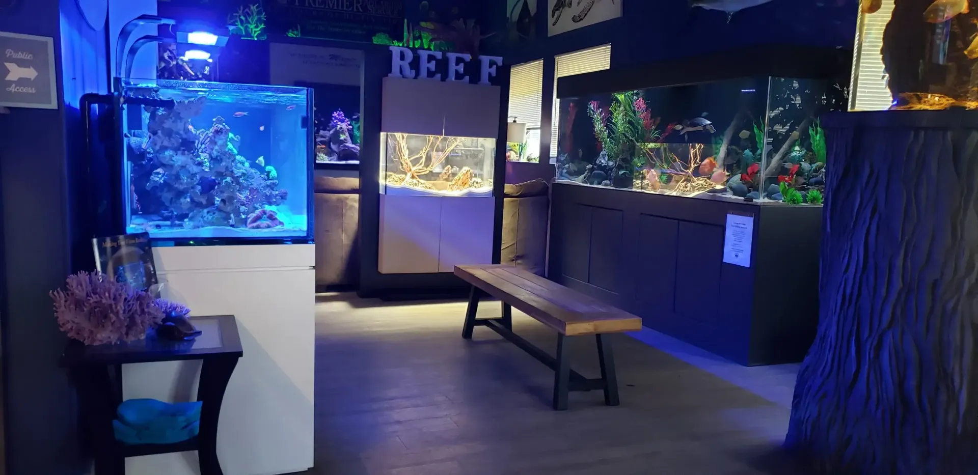 A room filled with aquariums and a bench.