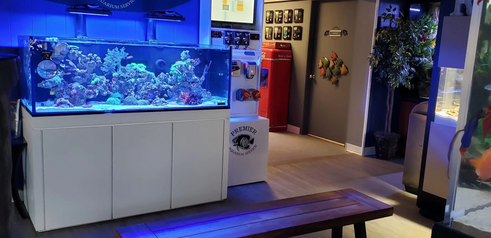 A large aquarium is sitting next to a wooden bench in a room.