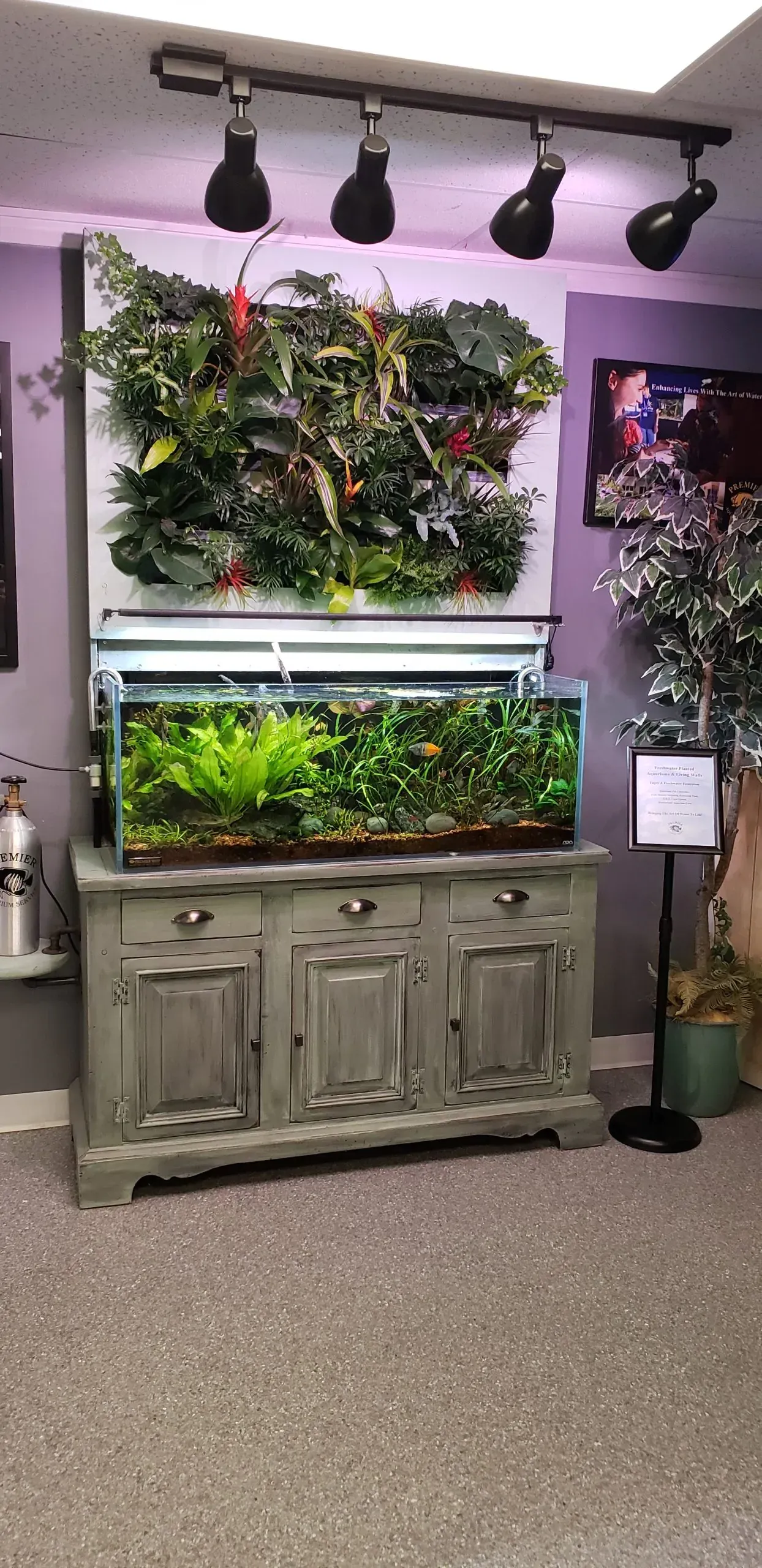A large aquarium is sitting on top of a dresser in a room.