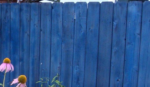 Fence
