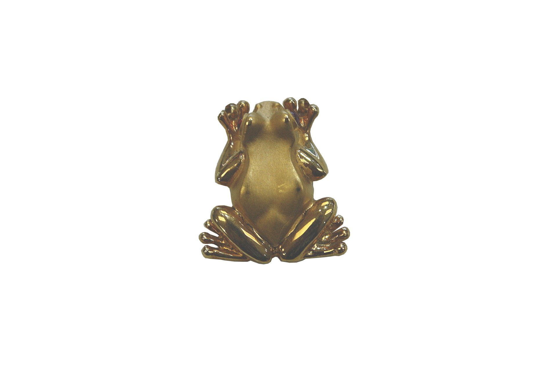 frog necklace