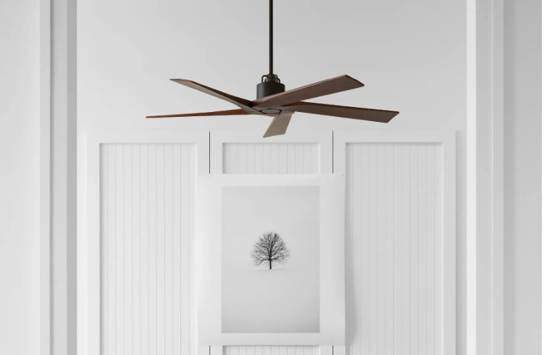 Modern ceiling fan above white paneled wall with framed botanical artwork