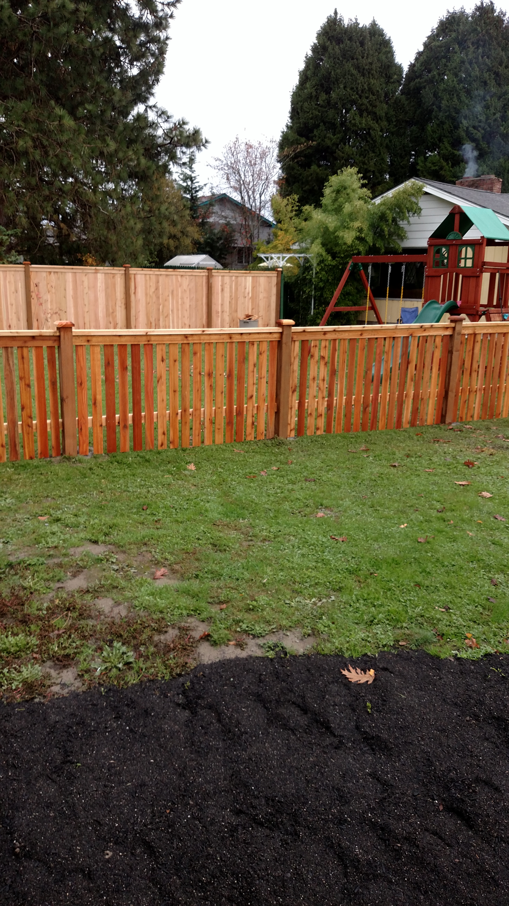 Cedar fence