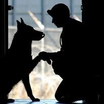 Silhouette of a person in uniform giving a paw-shake to a dog, both indoors with sunlight.