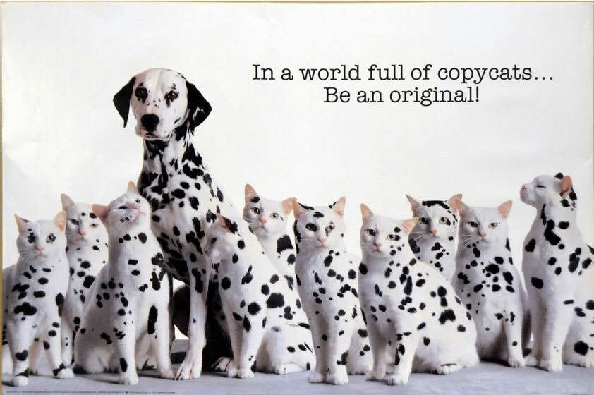 Dalmatian dog standing among spotted cats, with text: 