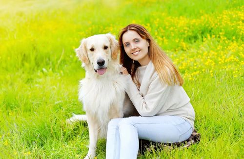 South Shades Crest Animal Clinic