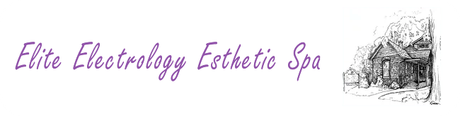Elite Electrology Esthetic Spa-Logo
