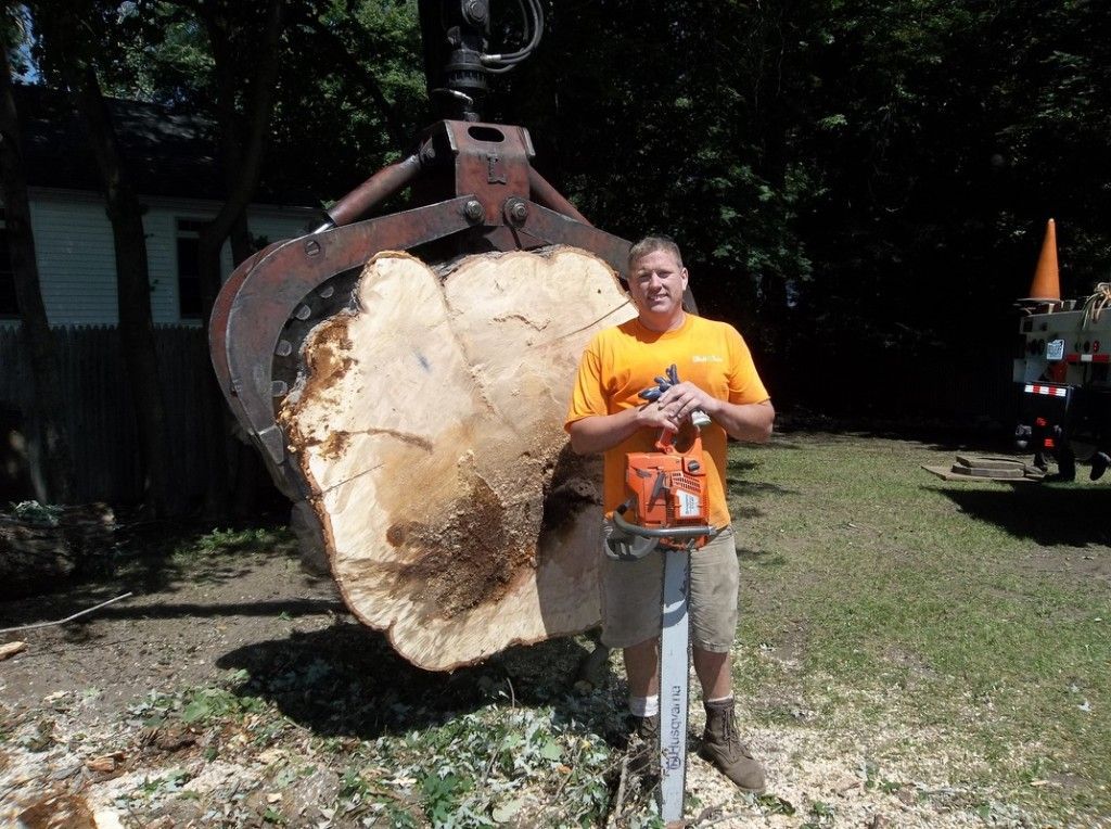 tree removal worker