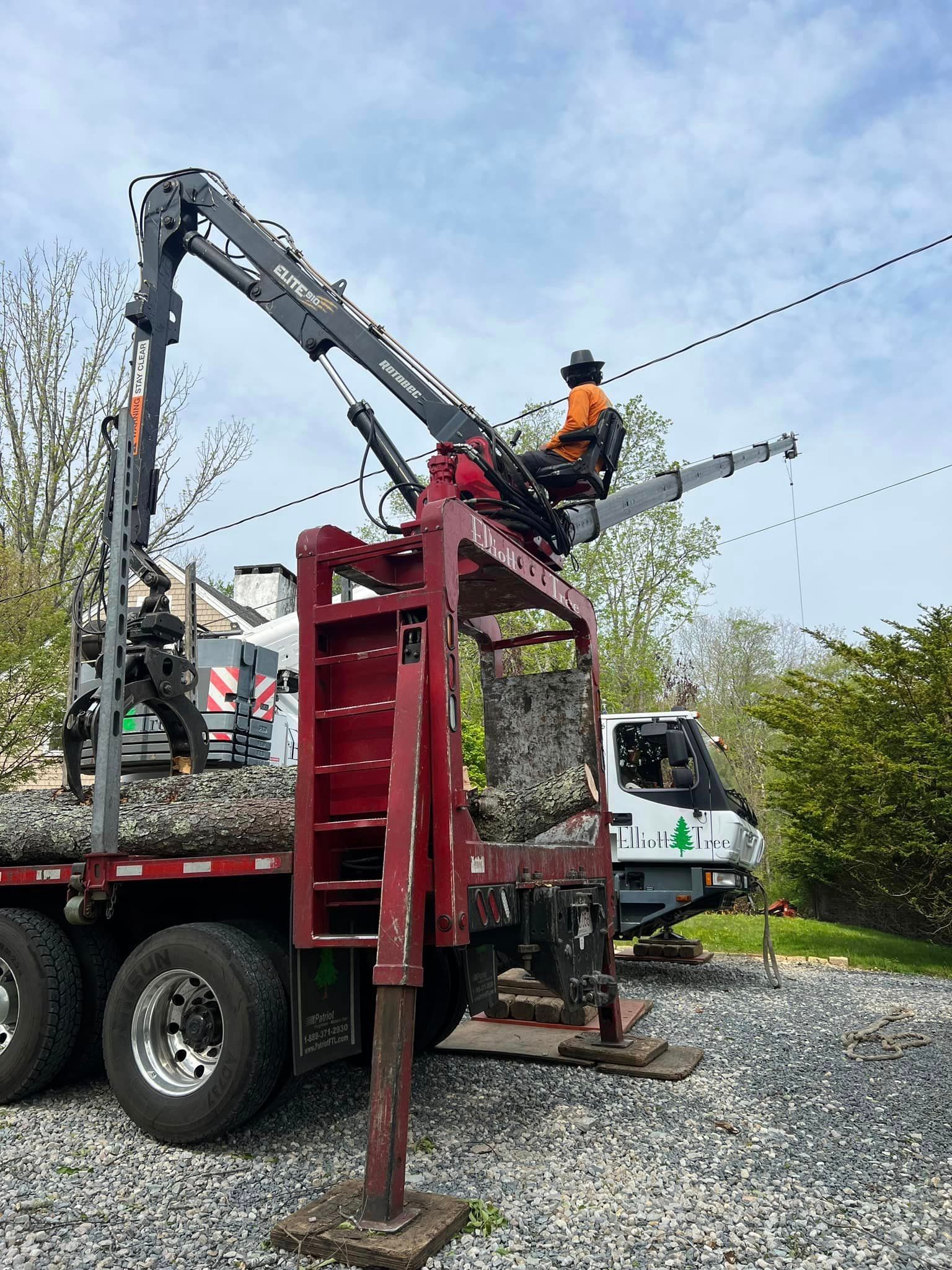 tree removal truck crane