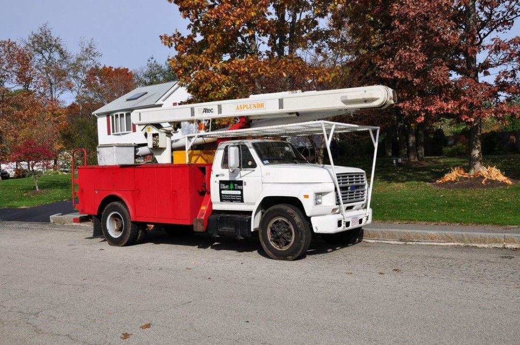 tree removal truck