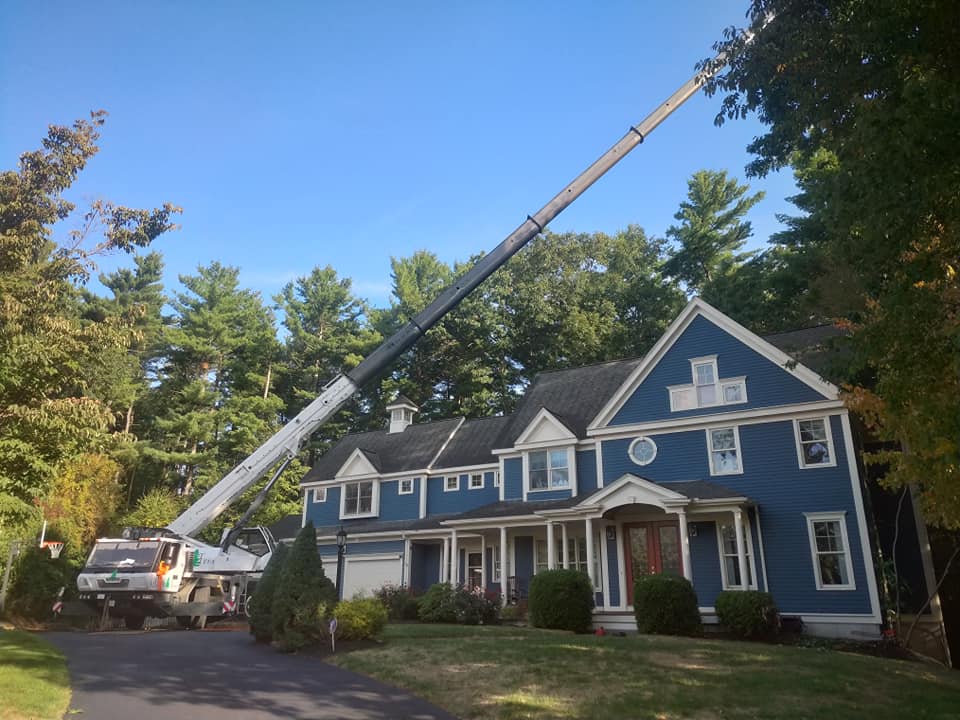 tree removal truck