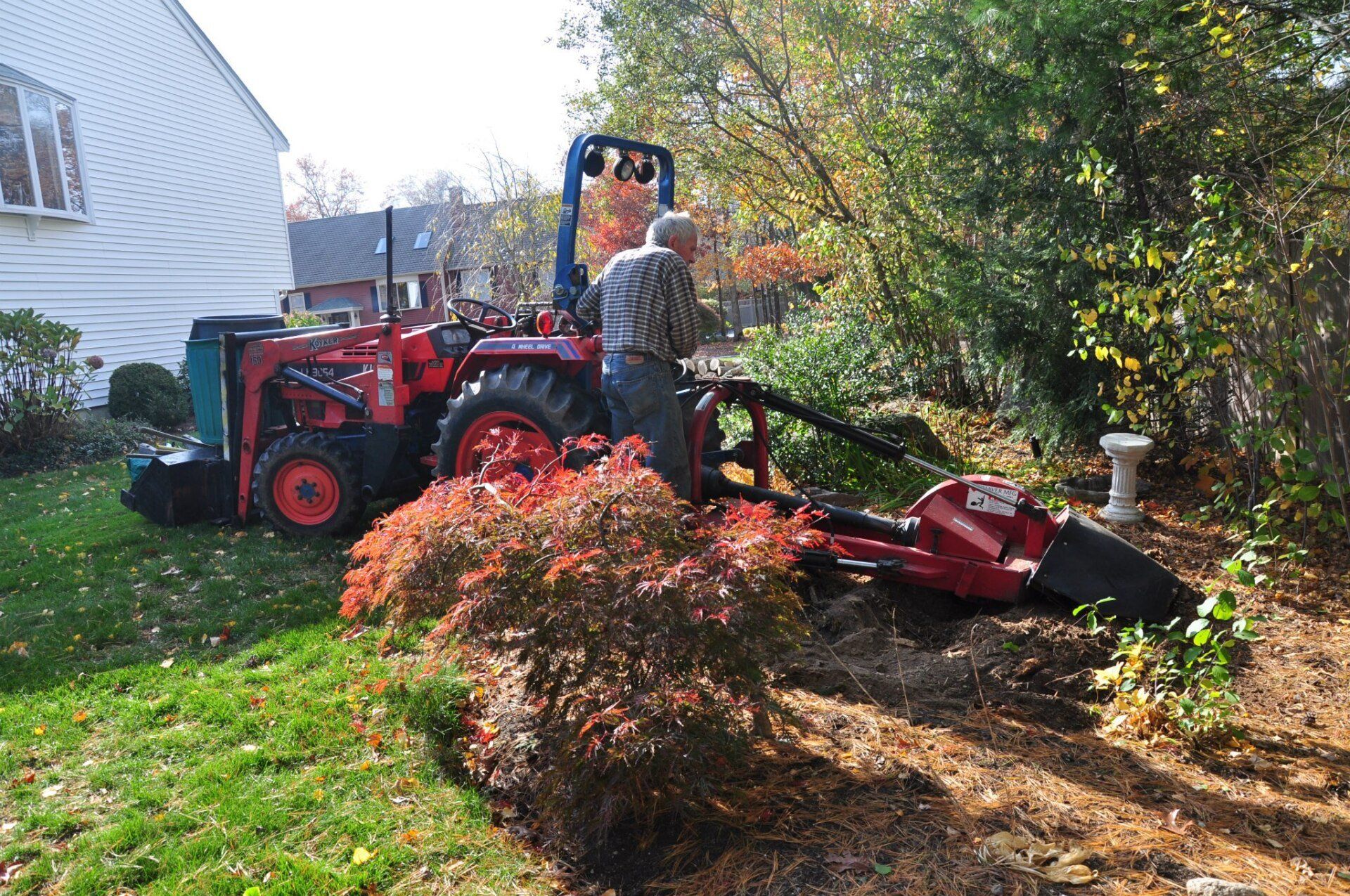 tree removal fall