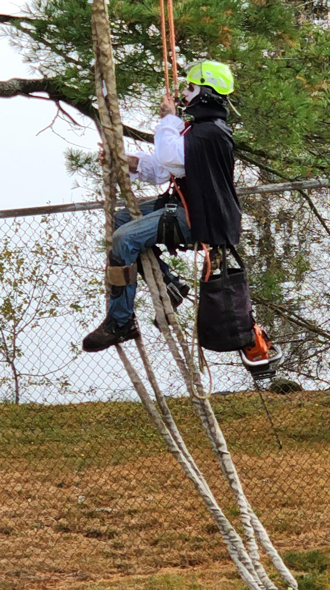 Tree service