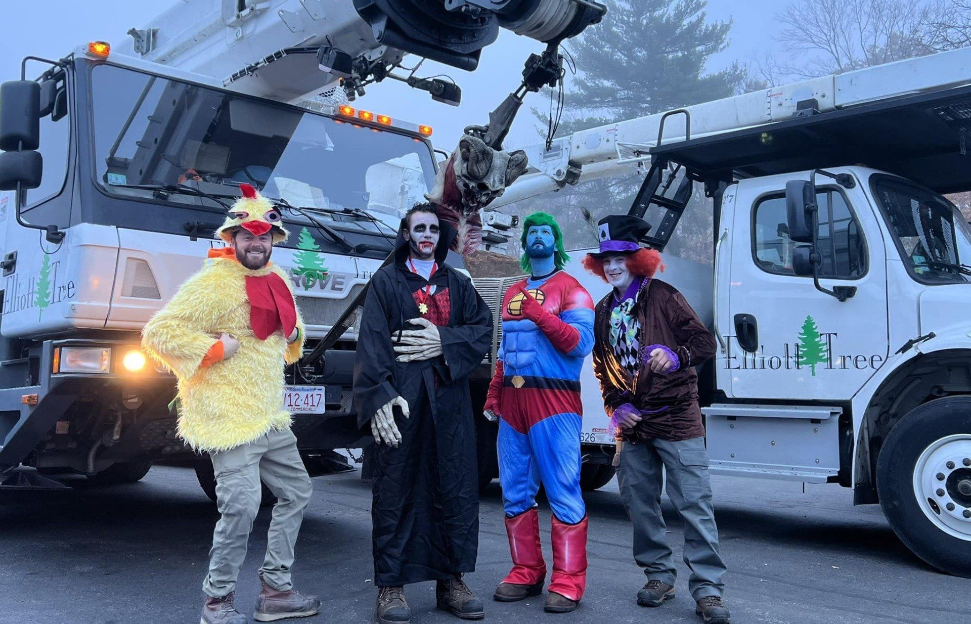 Tree service