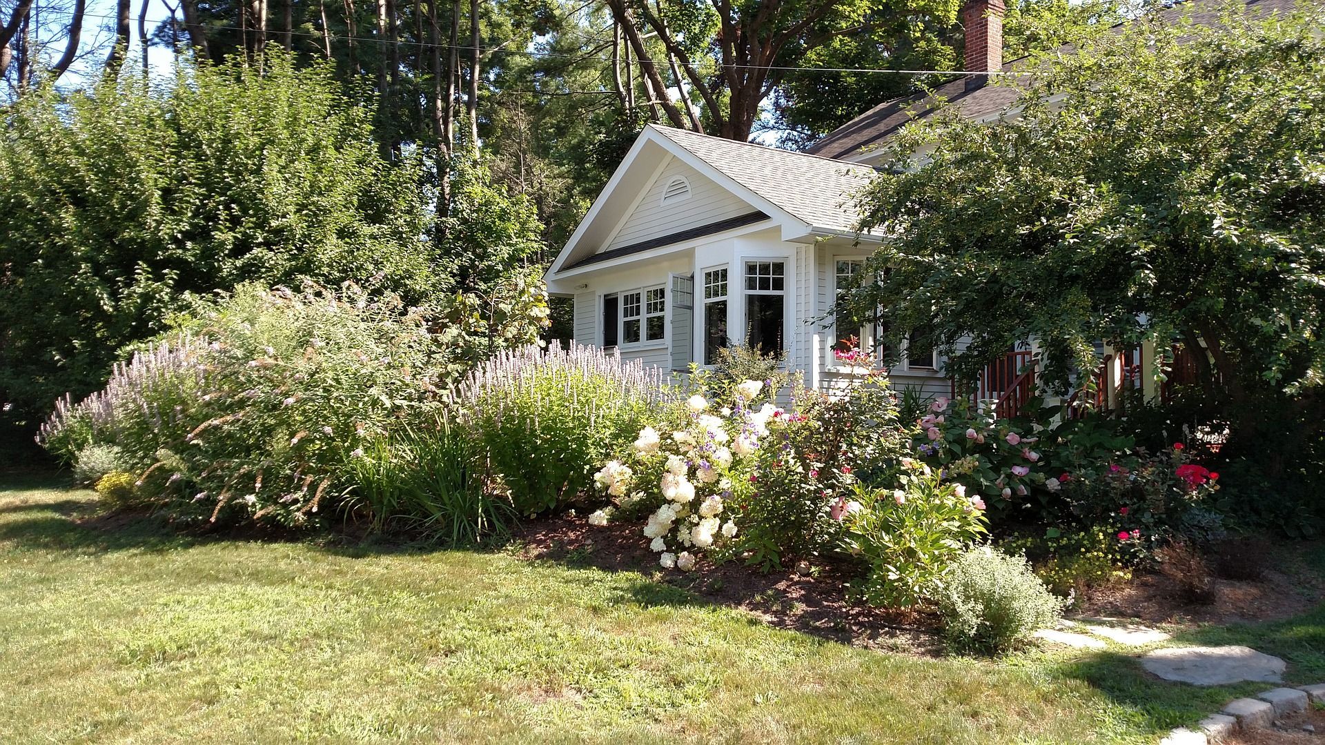 plants in front of house