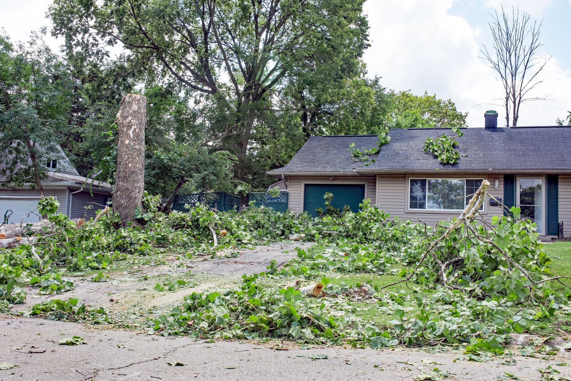 tree removal