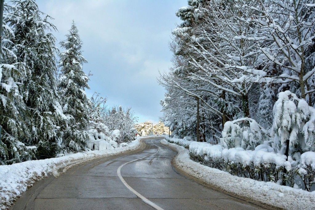 snow winter trees