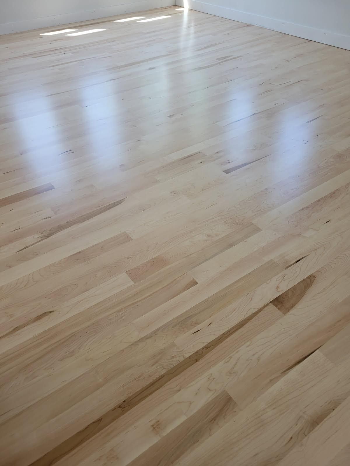 Light-colored hardwood floor reflecting sunlight, in an empty room.