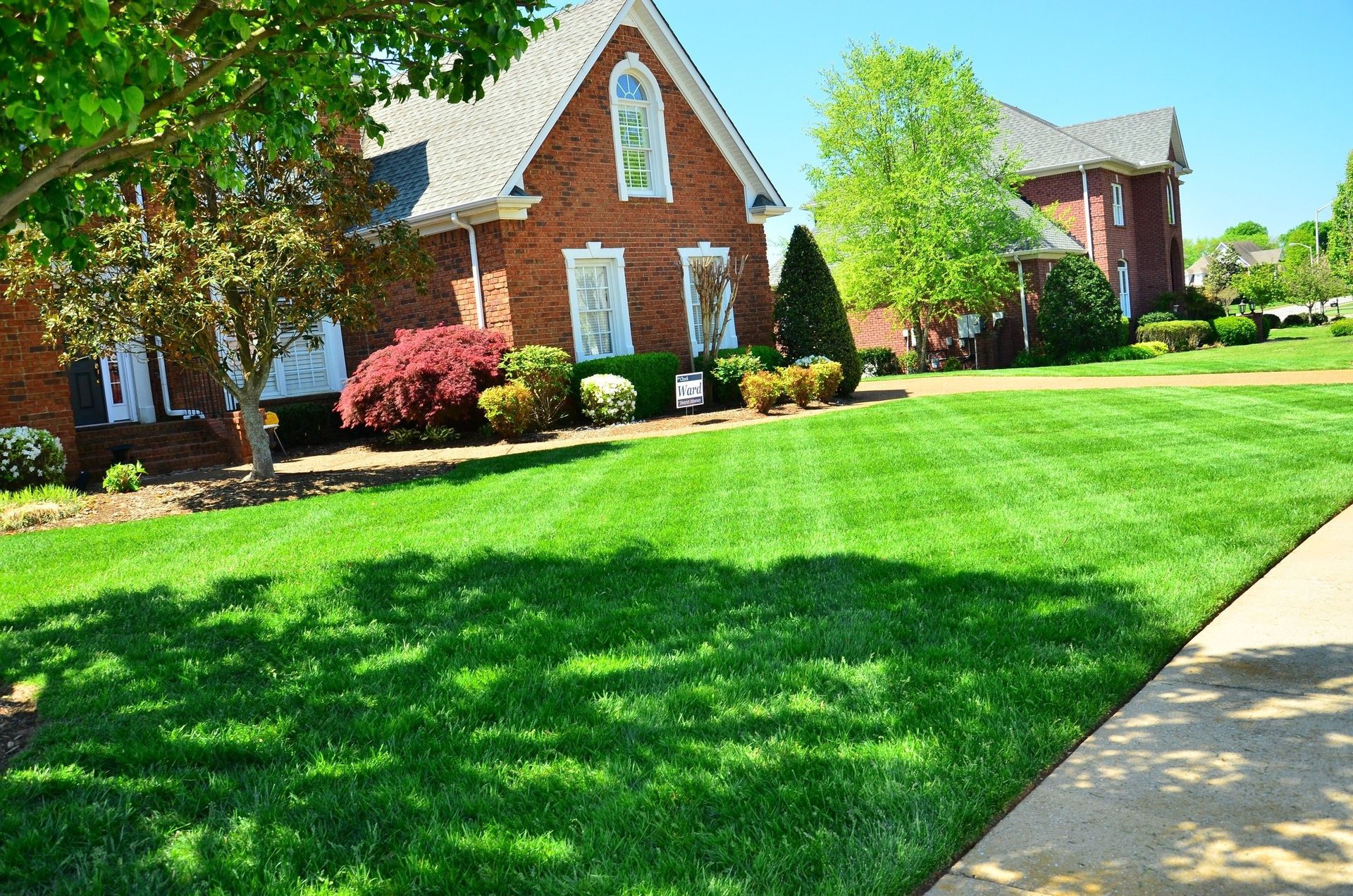 house with green yard