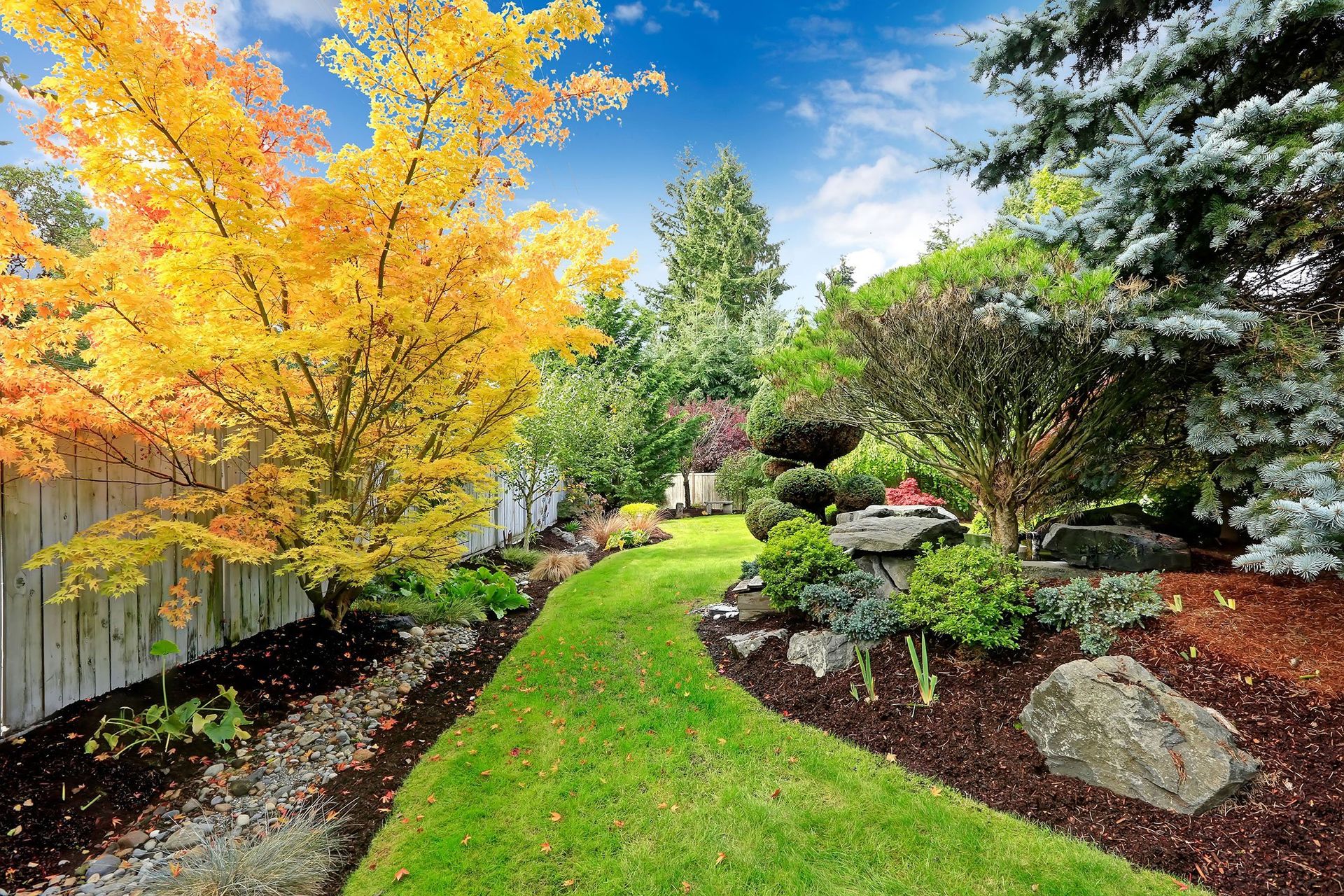 garden path landscaping trees