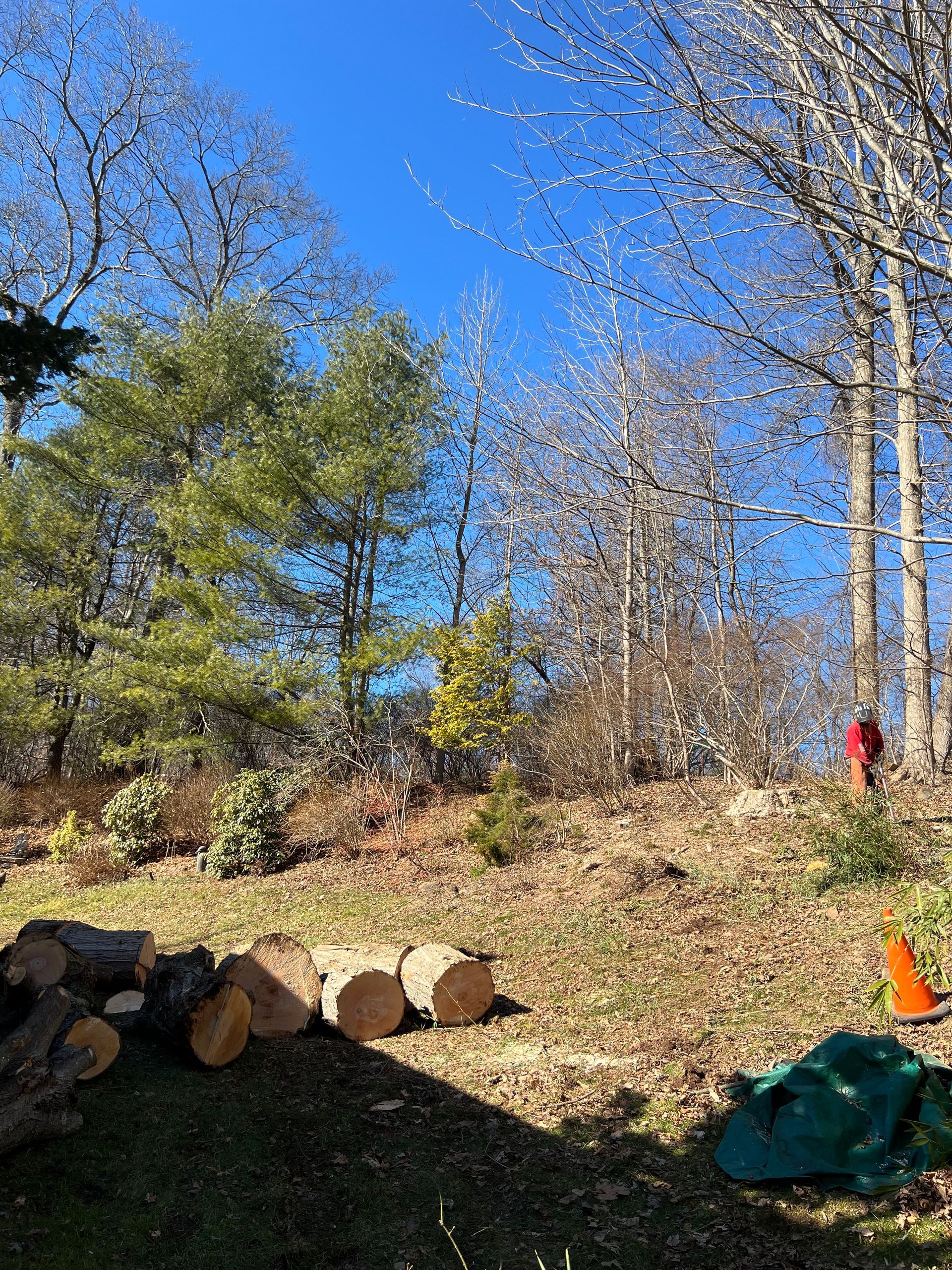 Logs on a grassy hill with trees; a person in orange works at right under a blue sky.