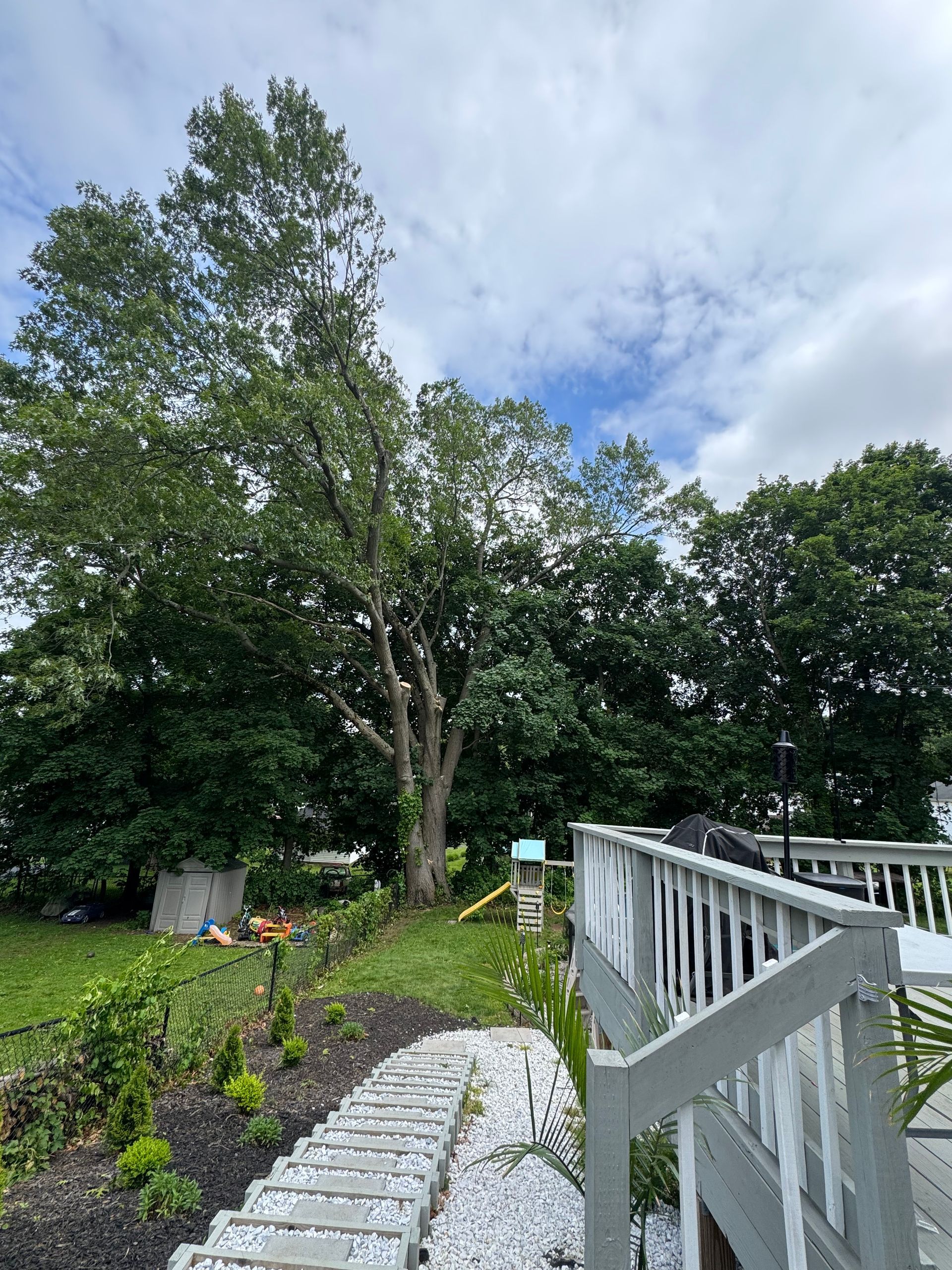 A backyard with a stone path leading to a wooden deck, surrounded by lush green trees under a cloudy sky.