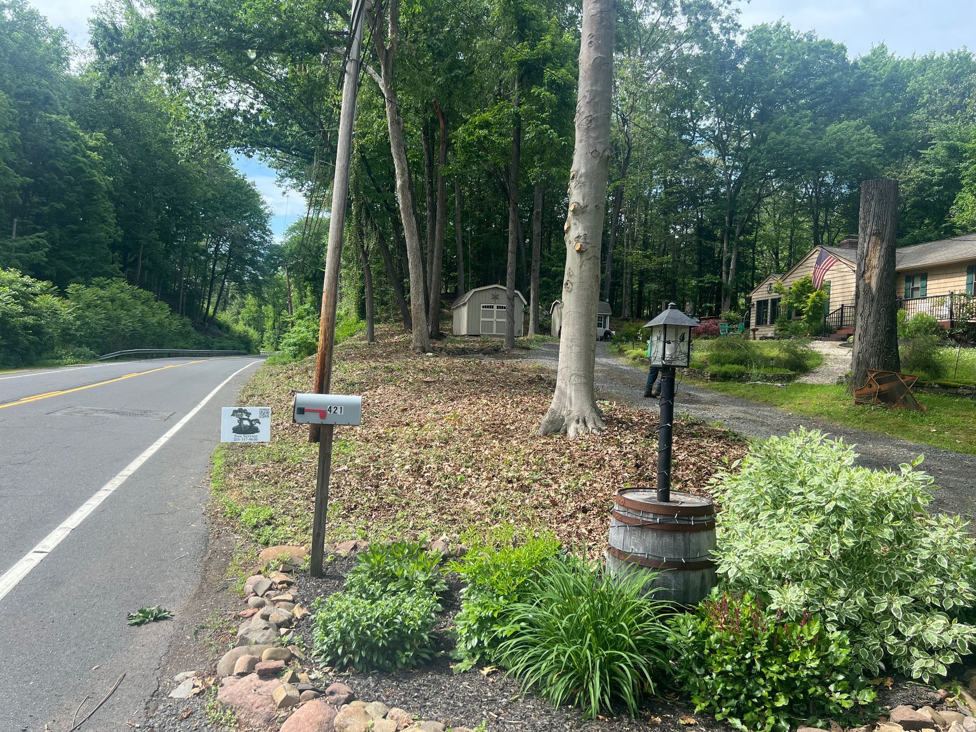Roadside view with mailbox, plants, trees, lamp, and a house in the background.