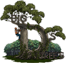 Big D's Tree's | Logo