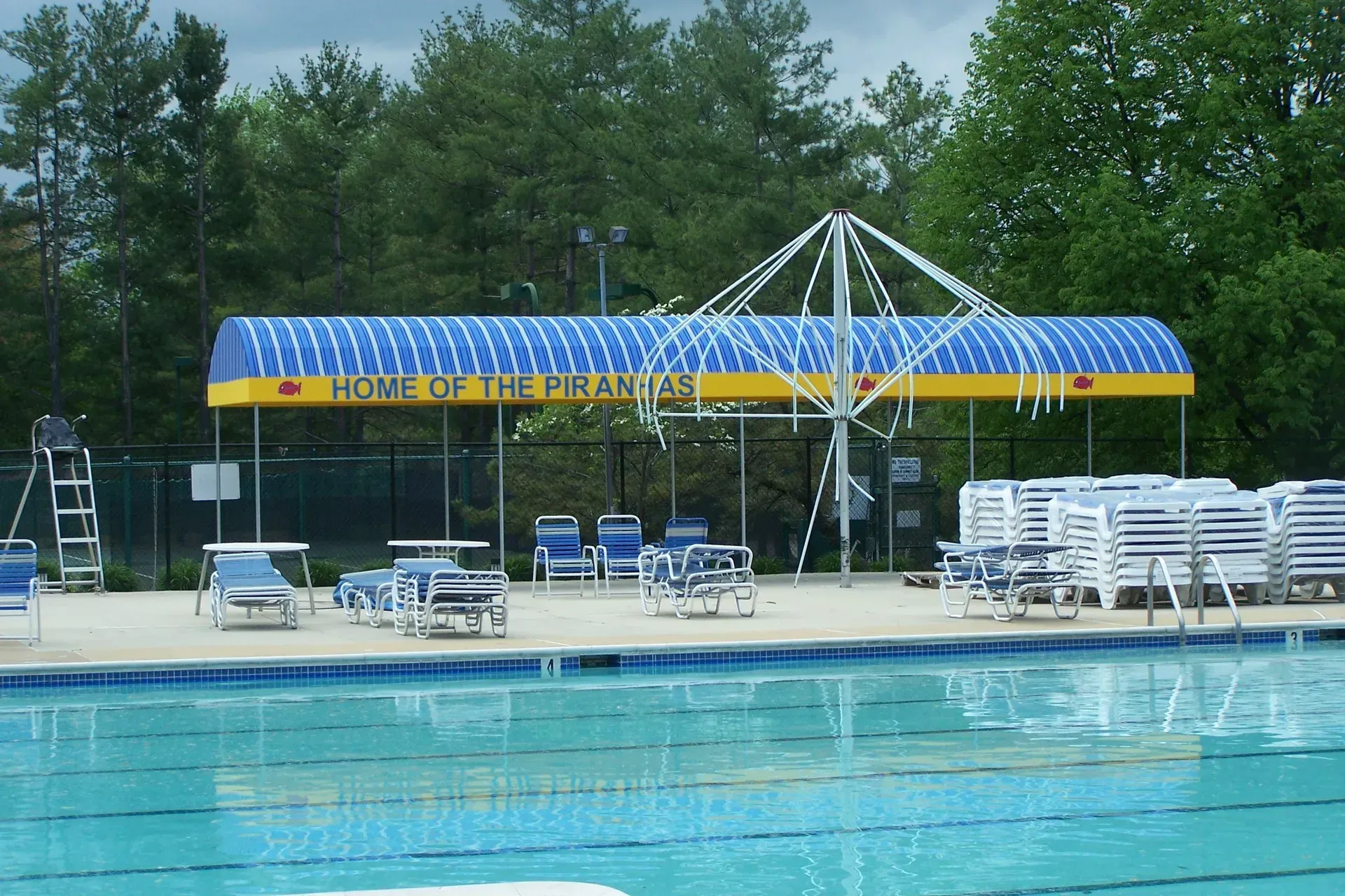 Empty outdoor swimming pool with blue umbrellas, lounge chairs, and white canopy tent