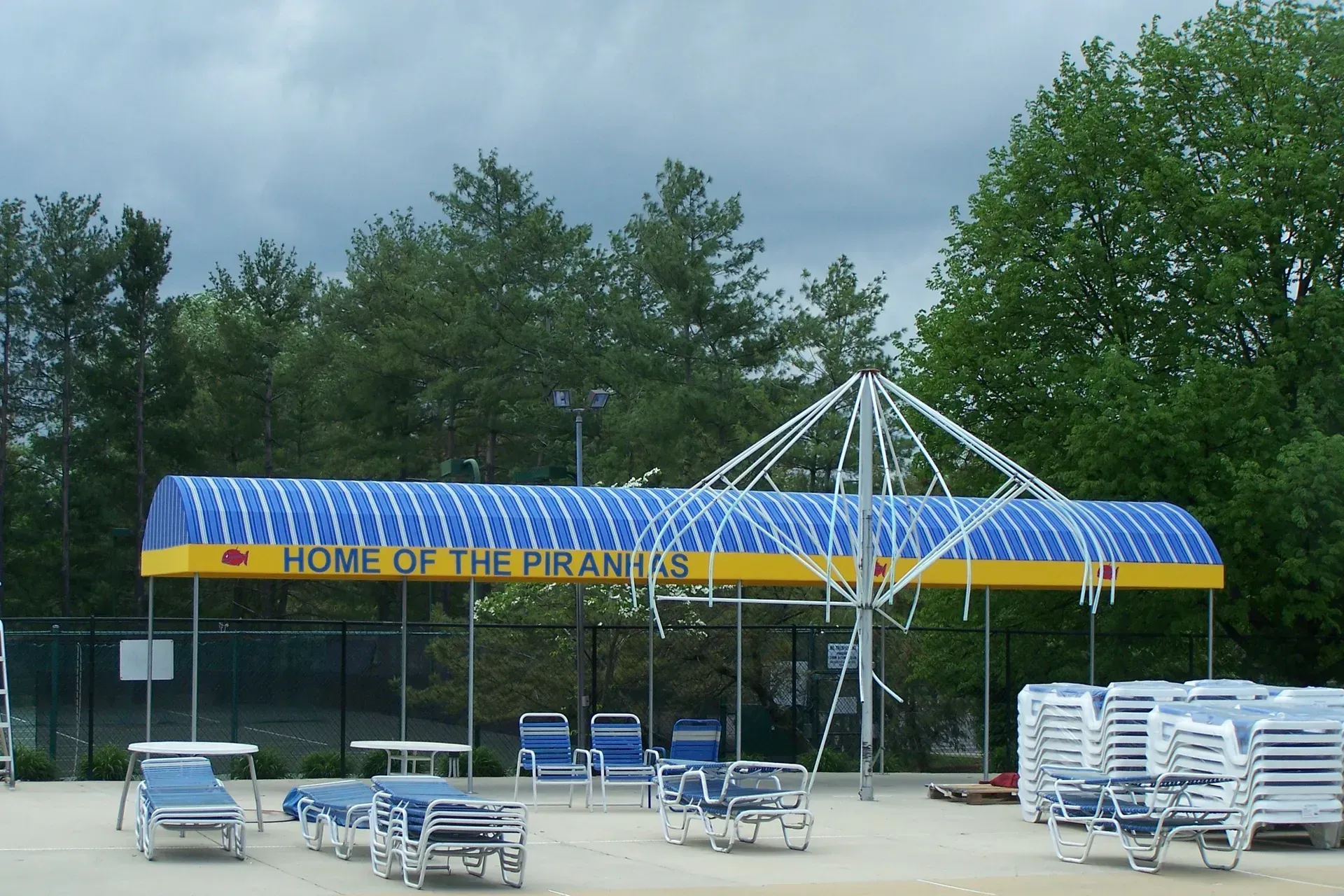 Outdoor pool area with blue lounge chairs and a yellow canopy reading “Home of the Hummingbirds”