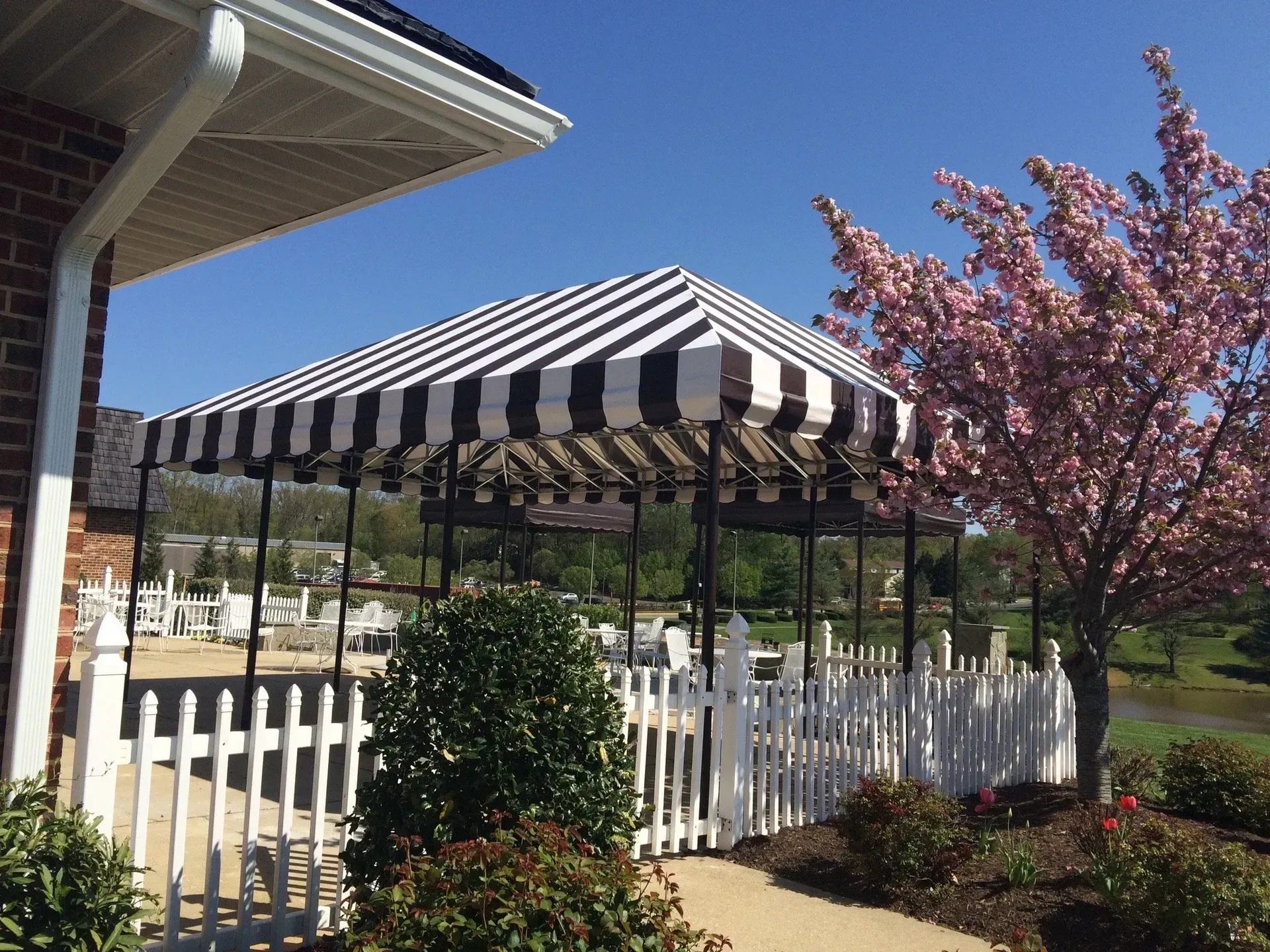Black-and-white striped patio canopy beside a white picket fence and blooming pink tree in a sunny yard